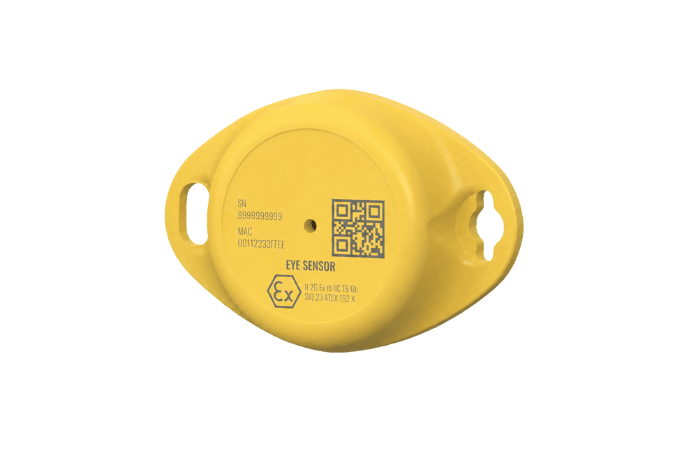 EYE Sensor ATEX product hardware