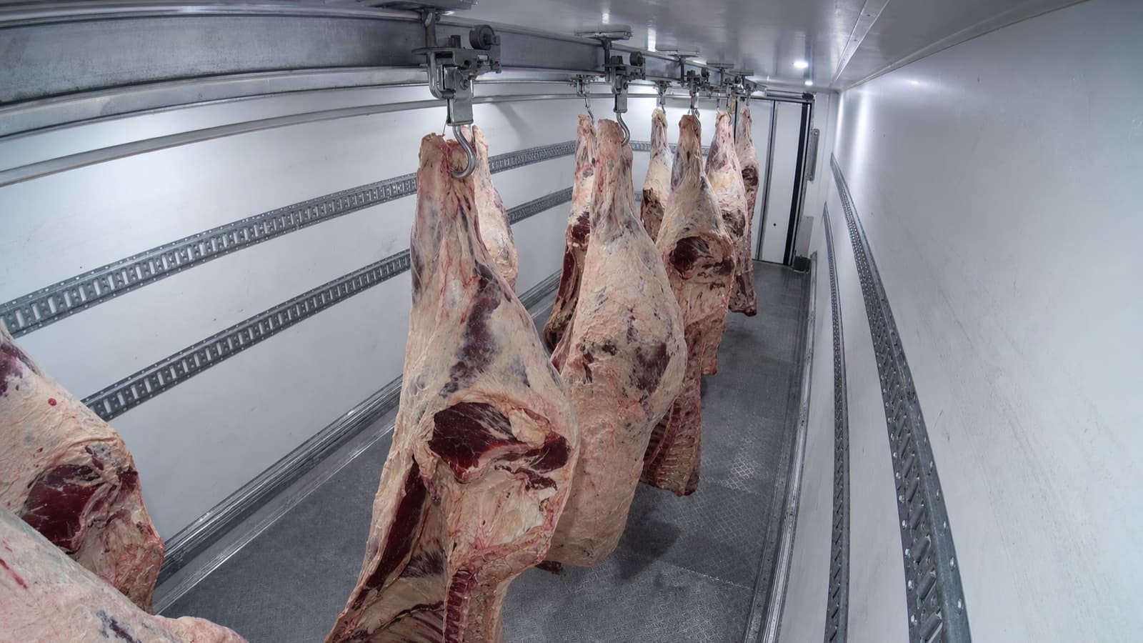 MDVR camera view inside a refrigerated meat trailer